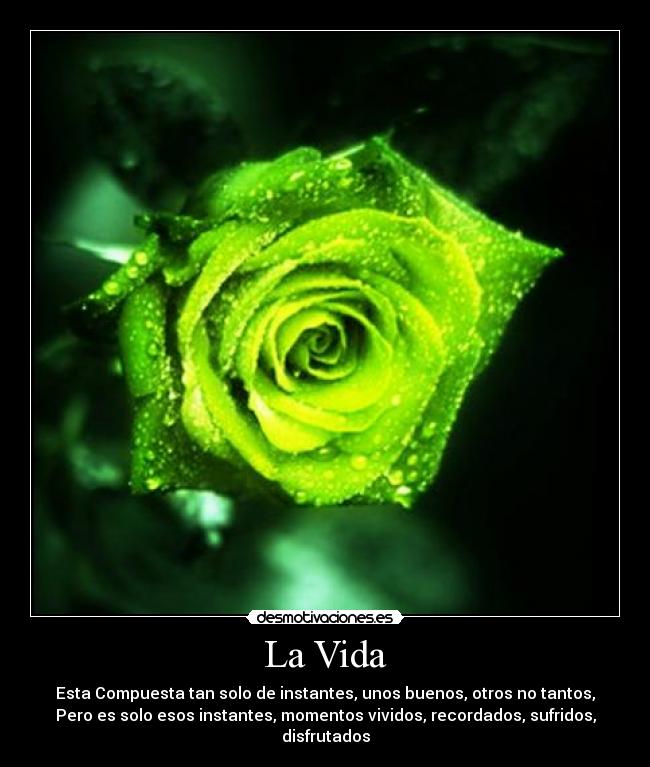 La Vida - Esta Compuesta tan solo de instantes, unos buenos, otros no tantos,
Pero es solo esos instantes, momentos vividos, recordados, sufridos,
disfrutados