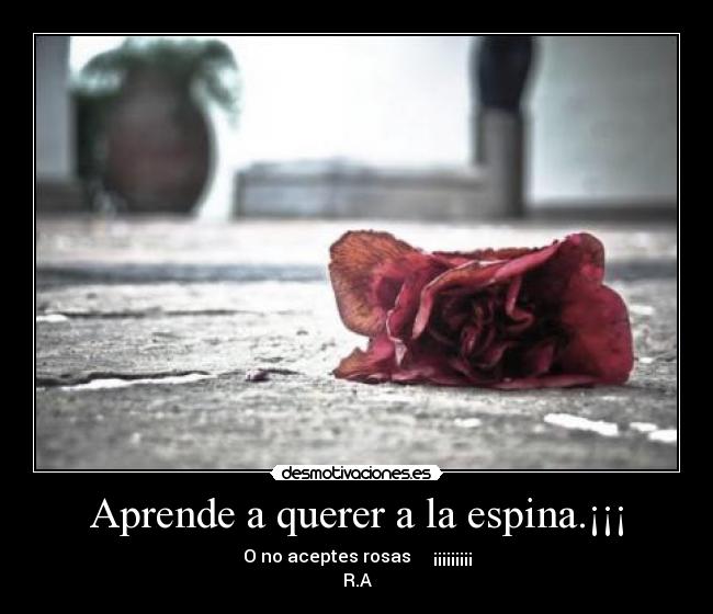 carteles aprende espina rosas desmotivaciones desmotivaciones