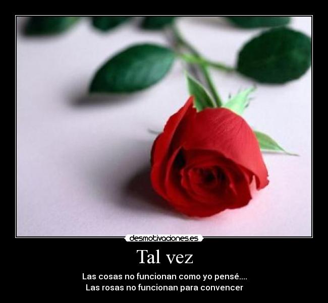 Tal vez -