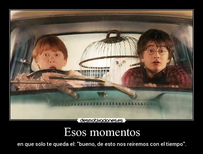 carteles conocidos amigos harry potter ron hermione amistad desmotivaciones