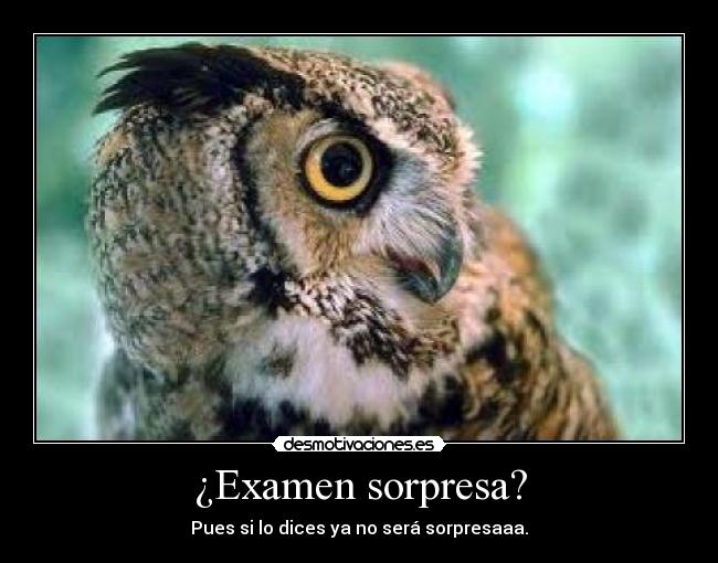 ¿Examen sorpresa? - Pues si lo dices ya no será sorpresaaa.