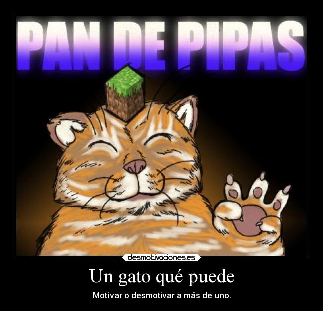 carteles boloman desmotivaciones