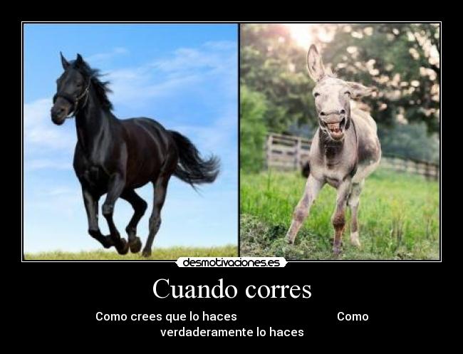 Cuando corres - Como crees que lo haces Como verdaderamente lo haces
