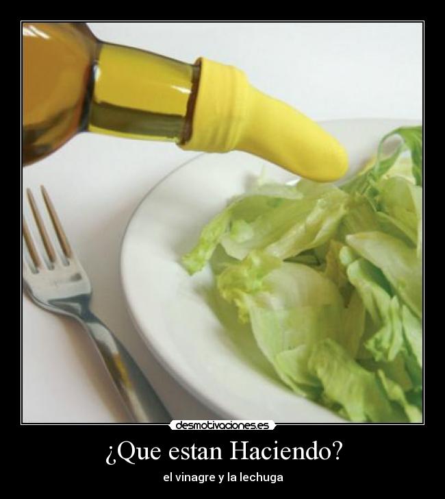 ¿Que estan Haciendo? - el vinagre y la lechuga