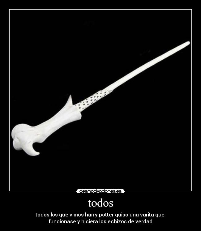 todos - todos los que vimos harry potter quiso una varita que 
funcionase y hiciera los echizos de verdad