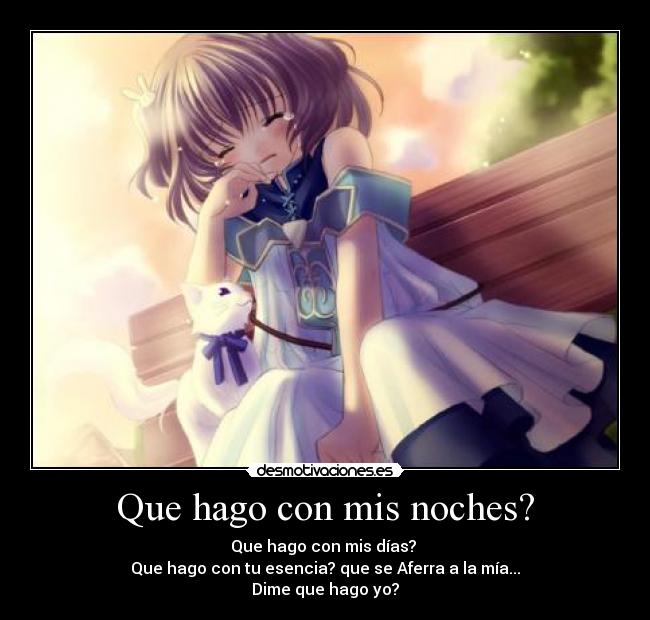 Que hago con mis noches? -