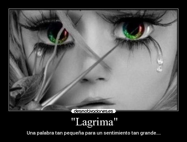 Lagrima -