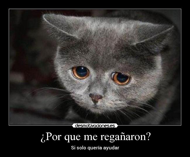 ¿Por que me regañaron? -