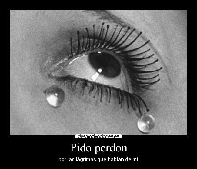 Pido perdon -