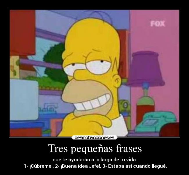 Tres pequeñas frases - que te ayudarán a lo largo de tu vida:
1- ¡Cúbreme!, 2- ¡Buena idea Jefe!, 3- Estaba así cuando llegué.