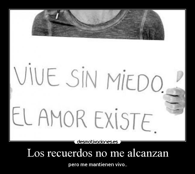 carteles recuerdos comegalletas puso sentimental desmotivaciones