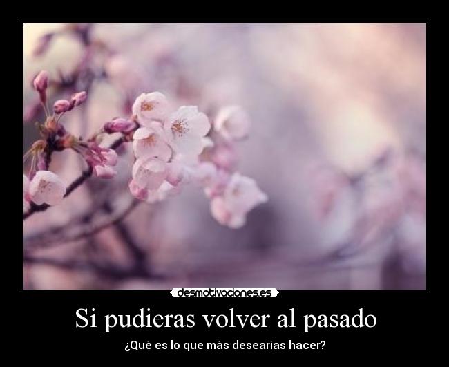 Si pudieras volver al pasado - ¿Què es lo que màs desearìas hacer?