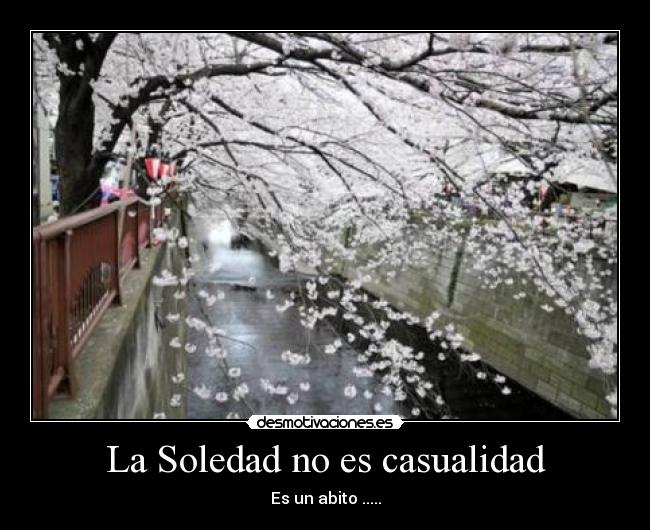 La Soledad no es casualidad - Es un abito .....