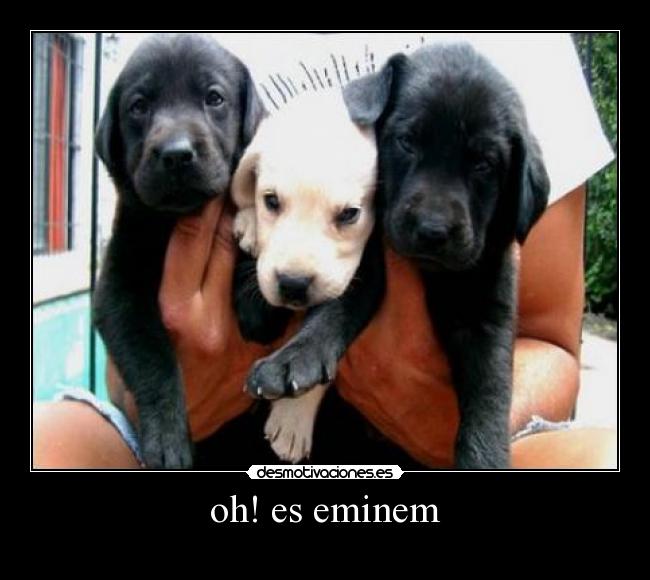 oh! es eminem -