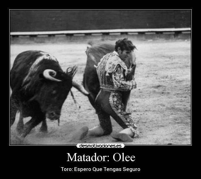 Matador: Olee - Toro: Espero Que Tengas Seguro