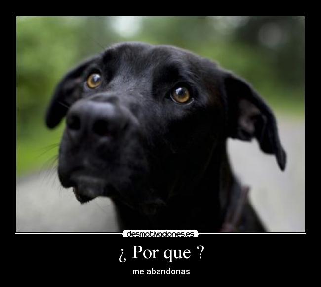 ¿ Por que ? - me abandonas