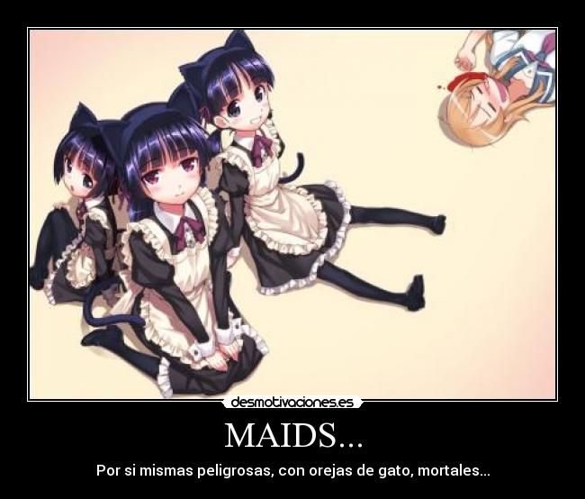 MAIDS... - Por si mismas peligrosas, con orejas de gato, mortales...