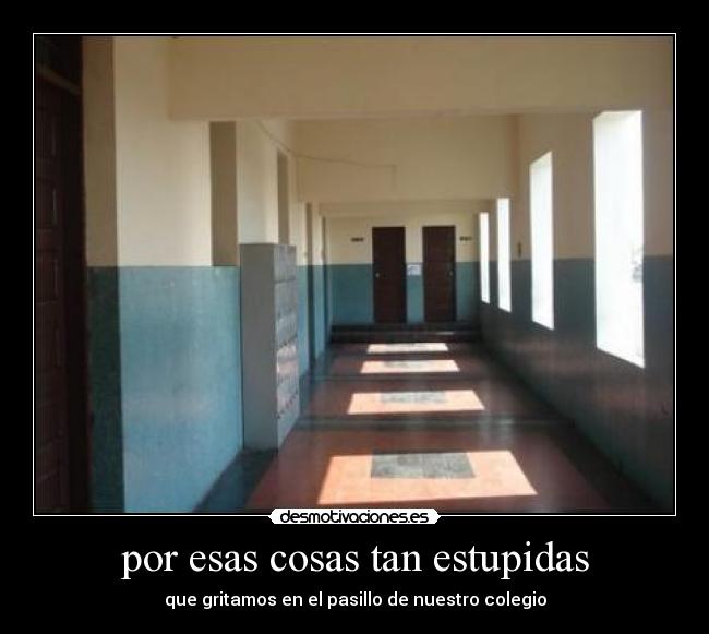 por esas cosas tan estupidas - que gritamos en el pasillo de nuestro colegio