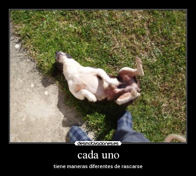 cada uno - tiene maneras diferentes de rascarse