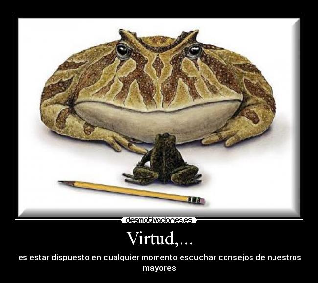 Virtud,... - 