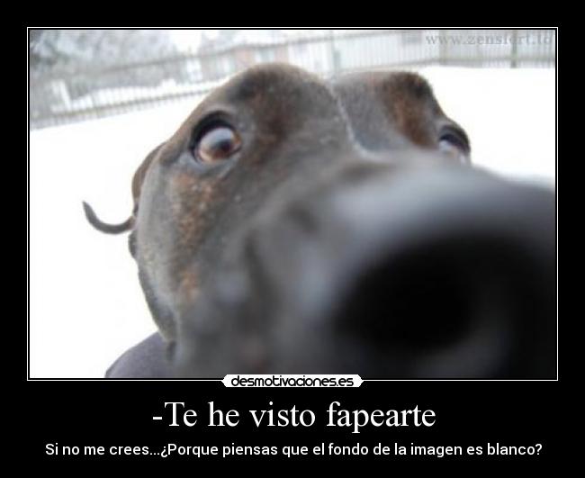 -Te he visto fapearte - Si no me crees...¿Porque piensas que el fondo de la imagen es blanco?