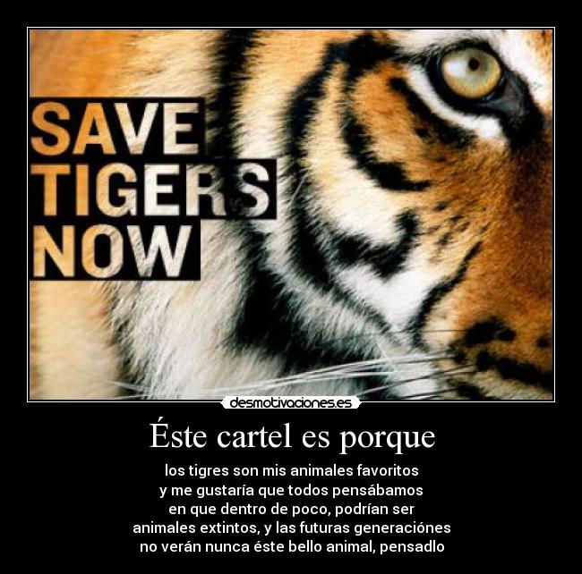 Éste cartel es porque - los tigres son mis animales favoritos
y me gustaría que todos pensábamos
en que dentro de poco, podrían ser
animales extintos, y las futuras generaciónes
no verán nunca éste bello animal, pensadlo