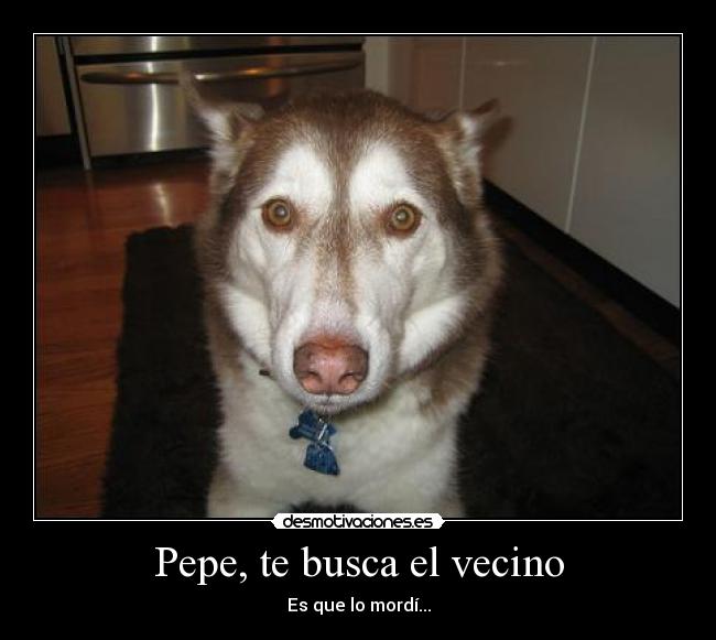 Pepe, te busca el vecino - Es que lo mordí...