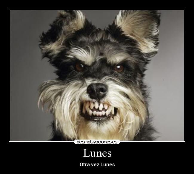 Lunes - Otra vez Lunes