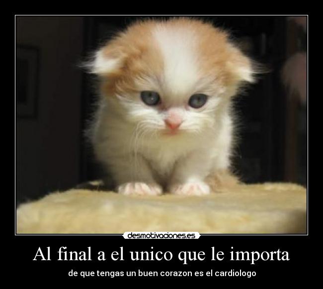 Al final a el unico que le importa - de que tengas un buen corazon es el cardiologo