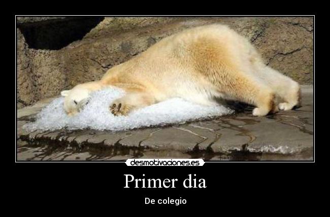 Primer dia - De colegio