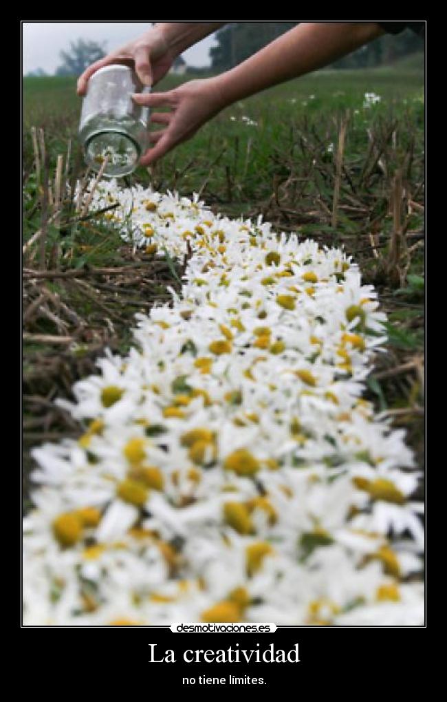 La creatividad - no tiene límites.