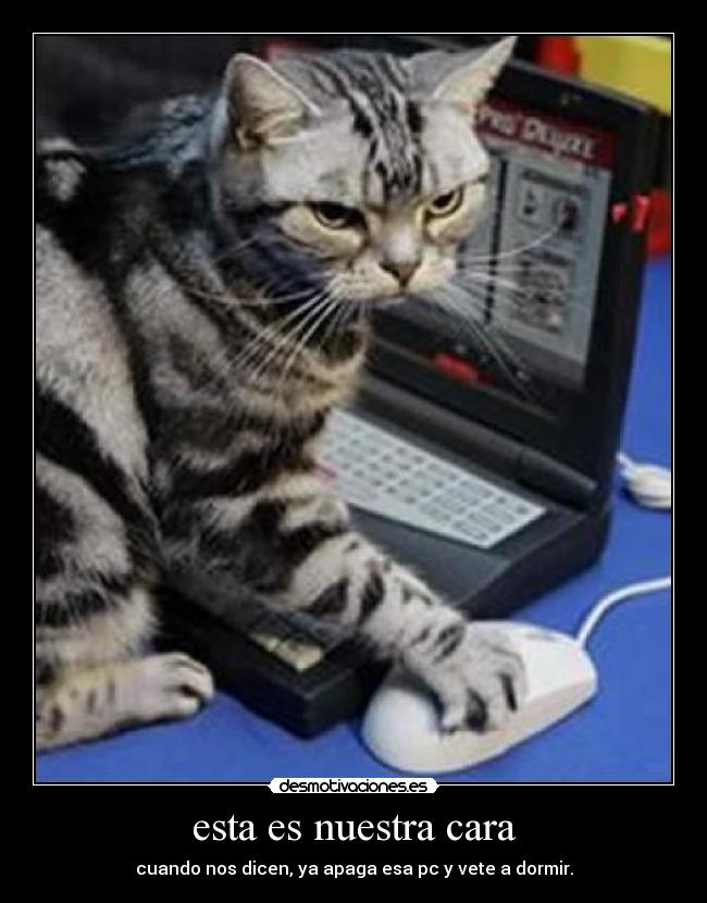 esta es nuestra cara -