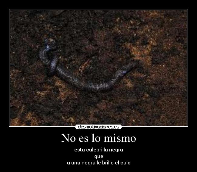 No es lo mismo - esta culebrilla negra
que
a una negra le brille el culo