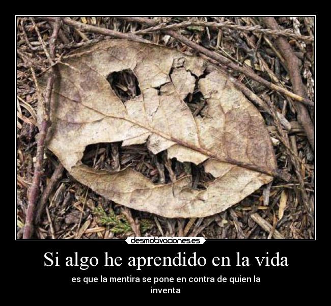 Si algo he aprendido en la vida - es que la mentira se pone en contra de quien la
inventa