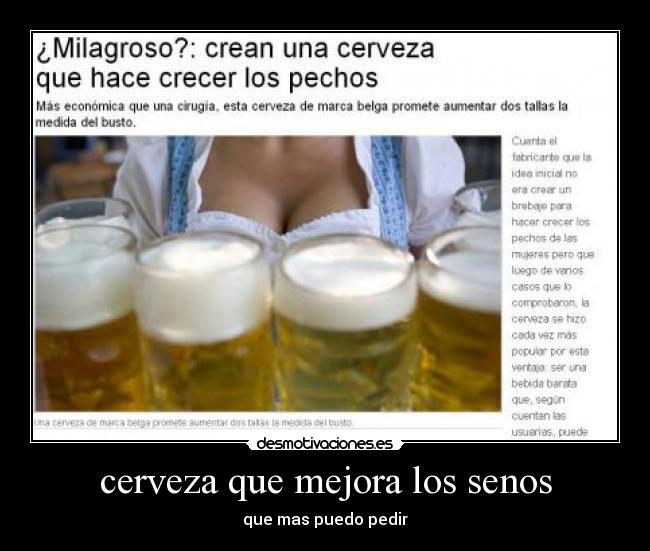 carteles cerveza senos desmotivaciones