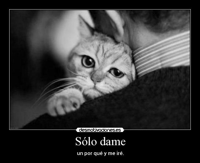 Sólo dame - 