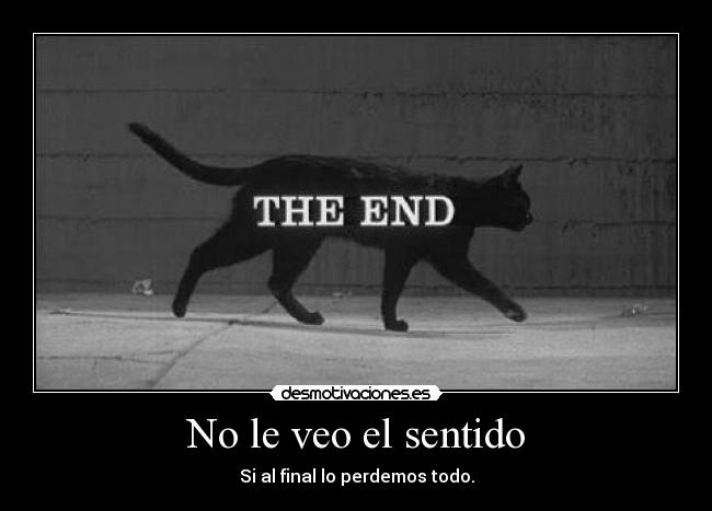 No le veo el sentido -