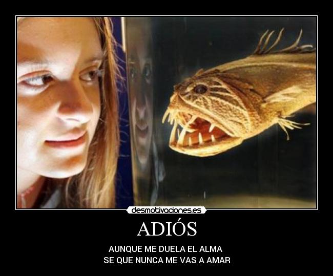 carteles mandira solorezano desmotivaciones