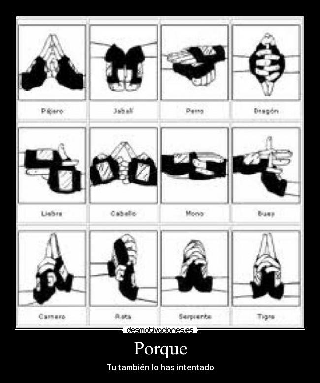 Porque - Tu también lo has intentado