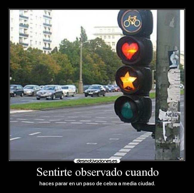 carteles semaforo sensacion persona cebra coche desmotivaciones