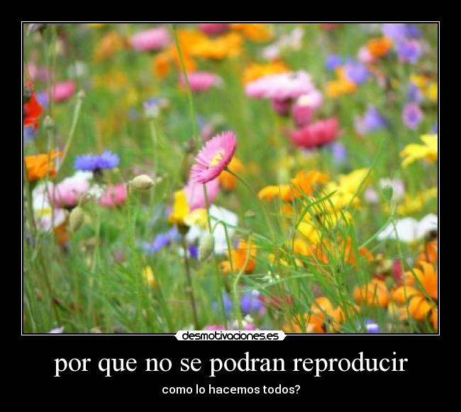 por que no se podran reproducir -