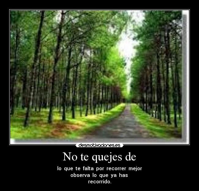 No te quejes de -