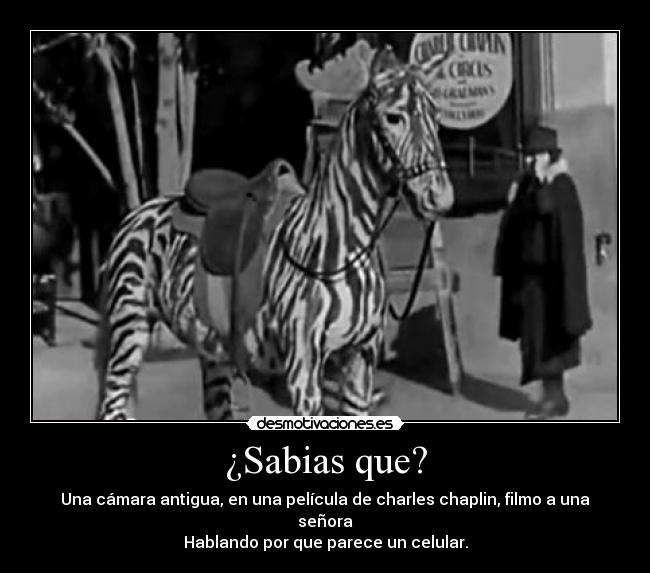 ¿Sabias que? - 