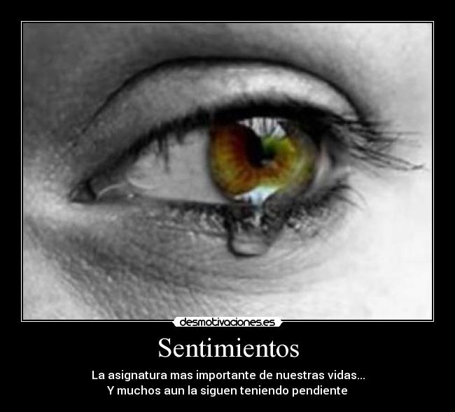 Sentimientos - 