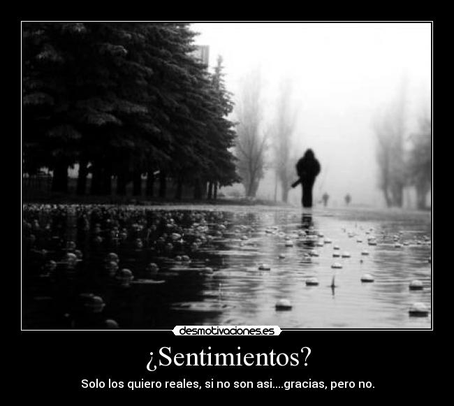 ¿Sentimientos? - 