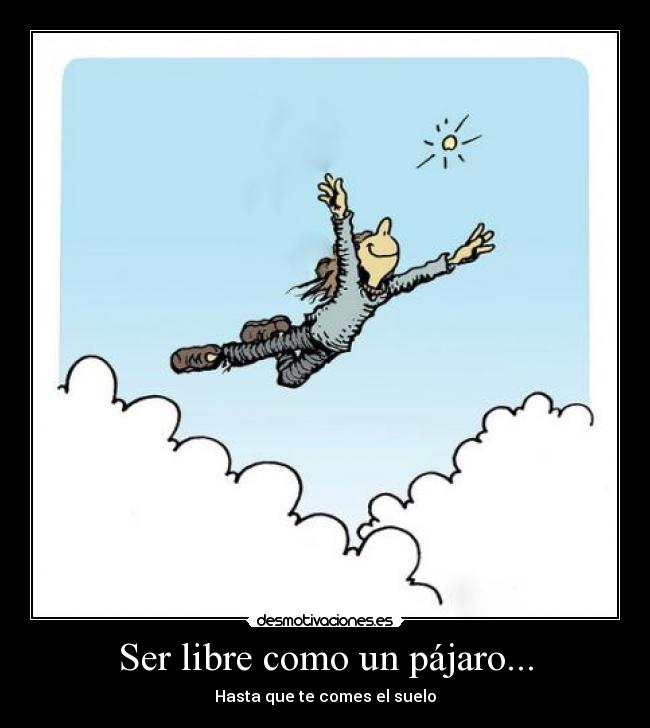 Ser libre como un pájaro... - Hasta que te comes el suelo