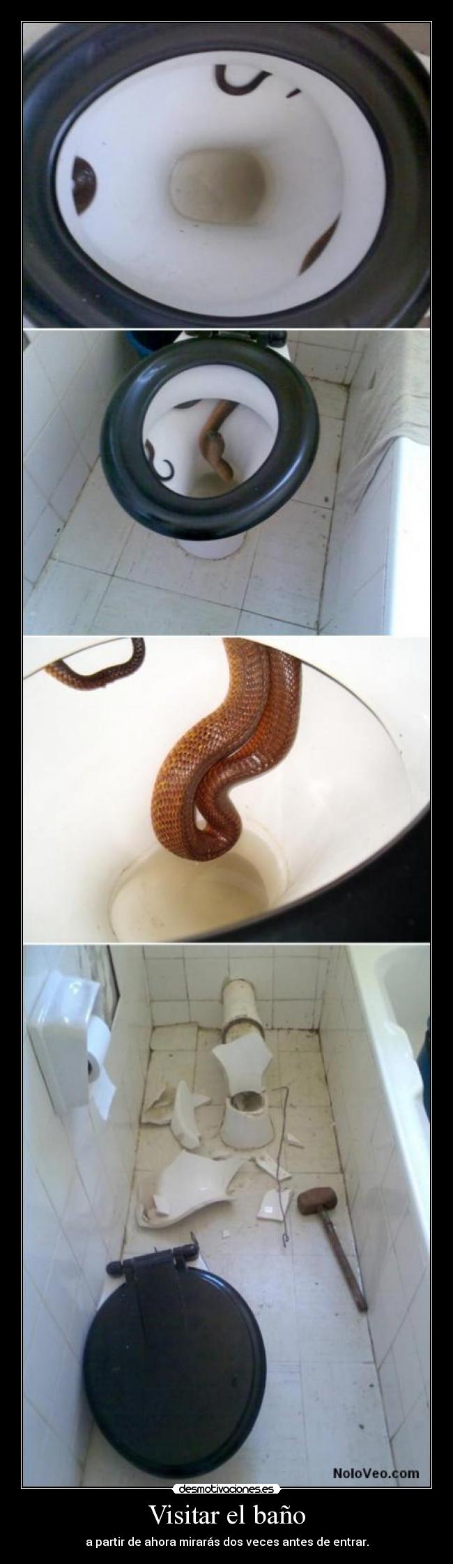 Visitar el baño - a partir de ahora mirarás dos veces antes de entrar.