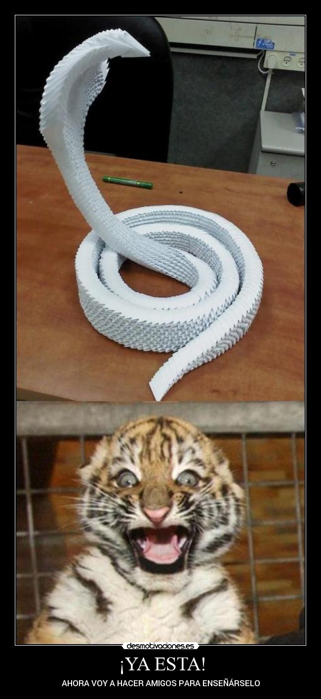 carteles tigretoneh clantigretoneh desollao desmotivaciones