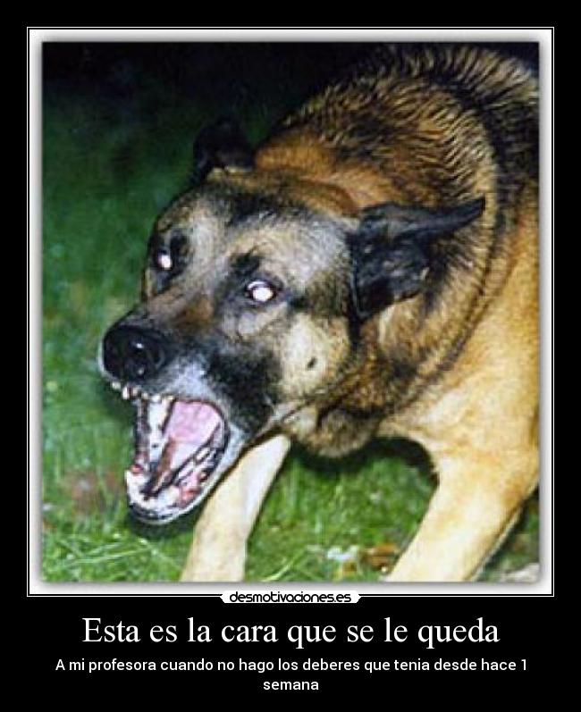 Esta es la cara que se le queda - A mi profesora cuando no hago los deberes que tenia desde hace 1 semana