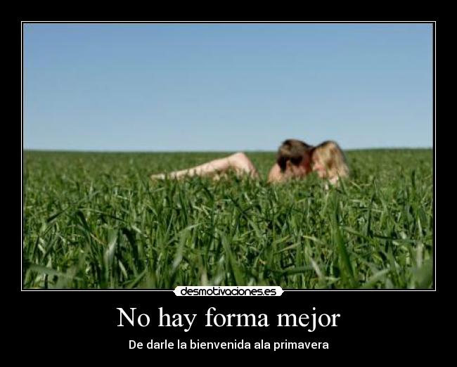 carteles yedid desmotivaciones